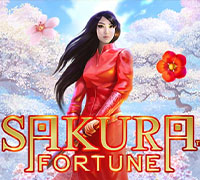 Sakura Fortune